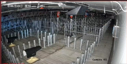 北京养猪场智能管理系统解决方案-MG电玩北京监控安装工程公司